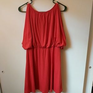 Burnt orange fitted dress with flowy sleeve